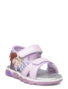 Frozen Sandal Purple Leomil