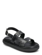 Lorelei Tan Leather Sandals Black ALOHAS