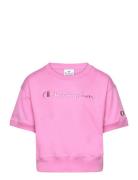 Crewneck Croptop T-Shirt Pink Champion