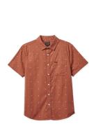 Charter Print S/S Wvn Brown Brixton