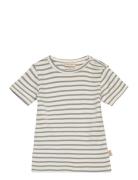 T-Shirt S/S Modal Striped Blue Petit Piao