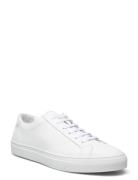 Jermain Leather Sneaker White Polo Ralph Lauren