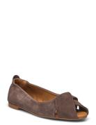 Ballerina Brown Billi Bi