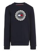 Stamp Embroidery Reg Sweatshirt Navy Tommy Hilfiger