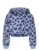 Cropped All Over Printed Hoody Blue Tom Tailor