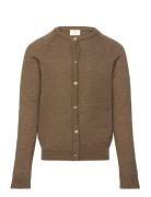 Tneve Glitter Cardigan Khaki The New