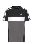 J 3S Tib T Black Adidas Sportswear