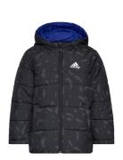 Jk Rev Pad Jkt Black Adidas Sportswear