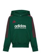 J Np Hoodie Green Adidas Sportswear