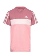 Lk 3S Tib T Pink Adidas Sportswear