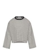 Cropped Striped Longsleeve Grey Tom Tailor