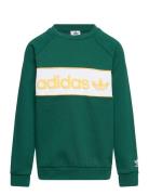 Crew Green Adidas Originals