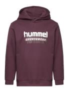 Hmltukas Hoodie Purple Hummel