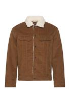 Sherpa Jacket Brown Lee Jeans