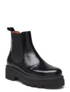 Stb-Sanna Chelsea Patent Black Shoe The Bear