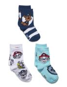 Socks Patterned Paw Patrol