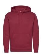 Hco. Guys Sweatshirts Burgundy Hollister