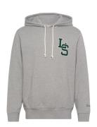 Standard Graphic Hoodie Ls Let Grey LEVI´S Men