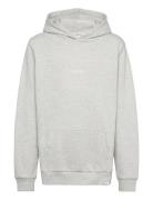 Dexter Hoodie Kids Grey Les Deux