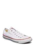 Chuck Taylor All Star White Converse