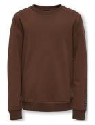 Kobmontgomery L/S Print Swt Brown Kids Only