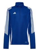 Tiro24 Trtopy Blue Adidas Performance