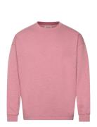 Essential 3 Crosses Program Sweatshirt Pink Scotch & Soda