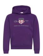 Archive Shield Hoodie Purple GANT