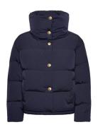 Gold Button Down Jacket Navy Tommy Hilfiger