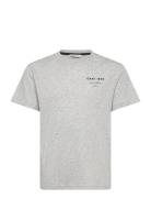 Graphic Script Relaxed T-Shirt Grey GANT