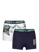 Boxer Navy Sun City Jurassic Park