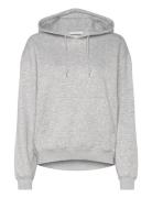 Essence Standard Hoodie Grey Weekday