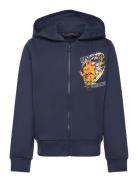 Lwscout 613 - Sweatshirt Navy LEGO Kidswear