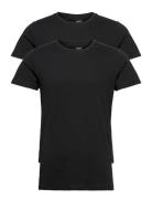 Rt Organic Cotton 2-Pack Tee Black Resteröds