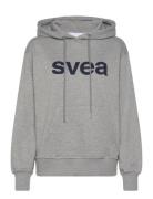 Swcowen Hoodie Grey Svea