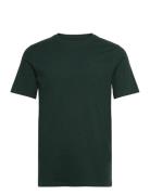 Seasonal Core - Logo Regular Fit T-Shirt Green Scotch & Soda