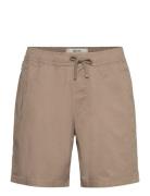 Hco. Guys Shorts Brown Hollister