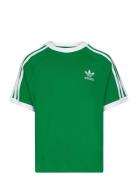 3Stripes Tee Green Adidas Originals