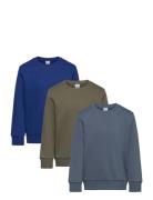 Sweatshirt Basic Solid 3 Pack Patterned Lindex