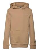 Script Embroidered Hoodie Beige Lyle & Scott