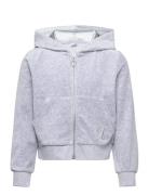 Sweatshirt Velour With Hoodie Grey Lindex