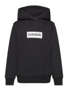 Chamois Hoodie Black Napapijri