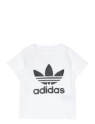 Trefoil Tee White Adidas Originals