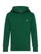 Seasonal Fleece-Ls Po Hood-Tp-Knt Green Ralph Lauren Kids