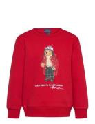 Polo Bear Fleece Sweatshirt Red Ralph Lauren Kids