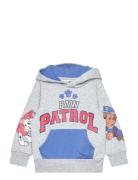 Sweats Grey Paw Patrol