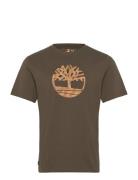 Camo Tree Logo Short Sleeve Tee Khaki Timberland