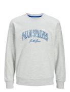 Jjdetroit Sweat Crew Neck Grey Jack & J S