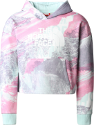 The North Face Girls' Drew Peak Light Hoodie Super Pink Girls Print