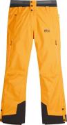 Men's Picture Object Pants Autumn Blaze